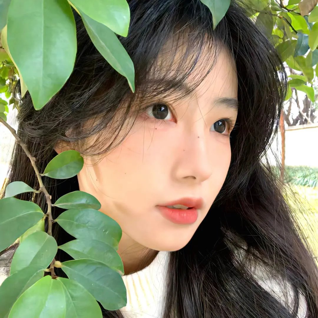 权宠刁妃